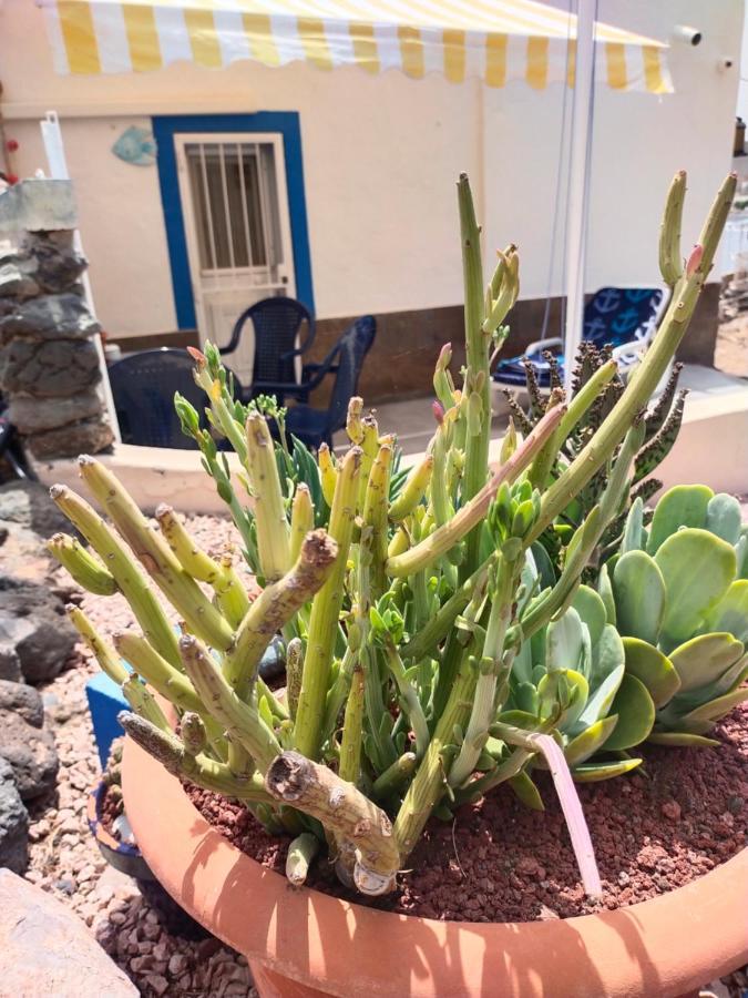 Casa Marinera En La Orilla Del Mar VilLajita Kültér fotó